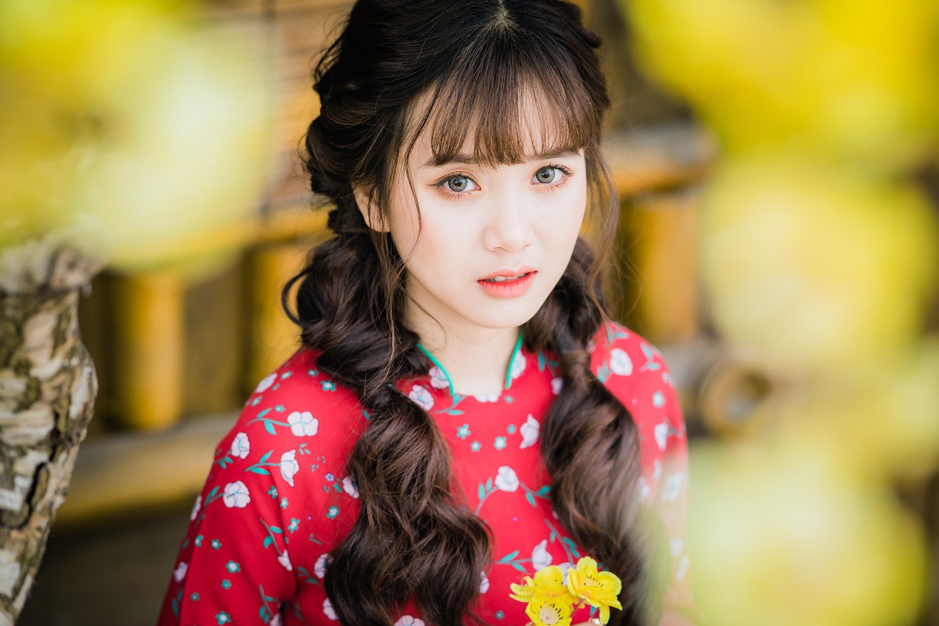 find vietnamese women